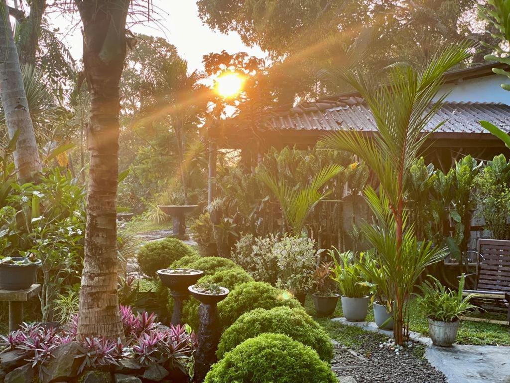 Hathawariya Green View Cabin Talpe Esterno foto